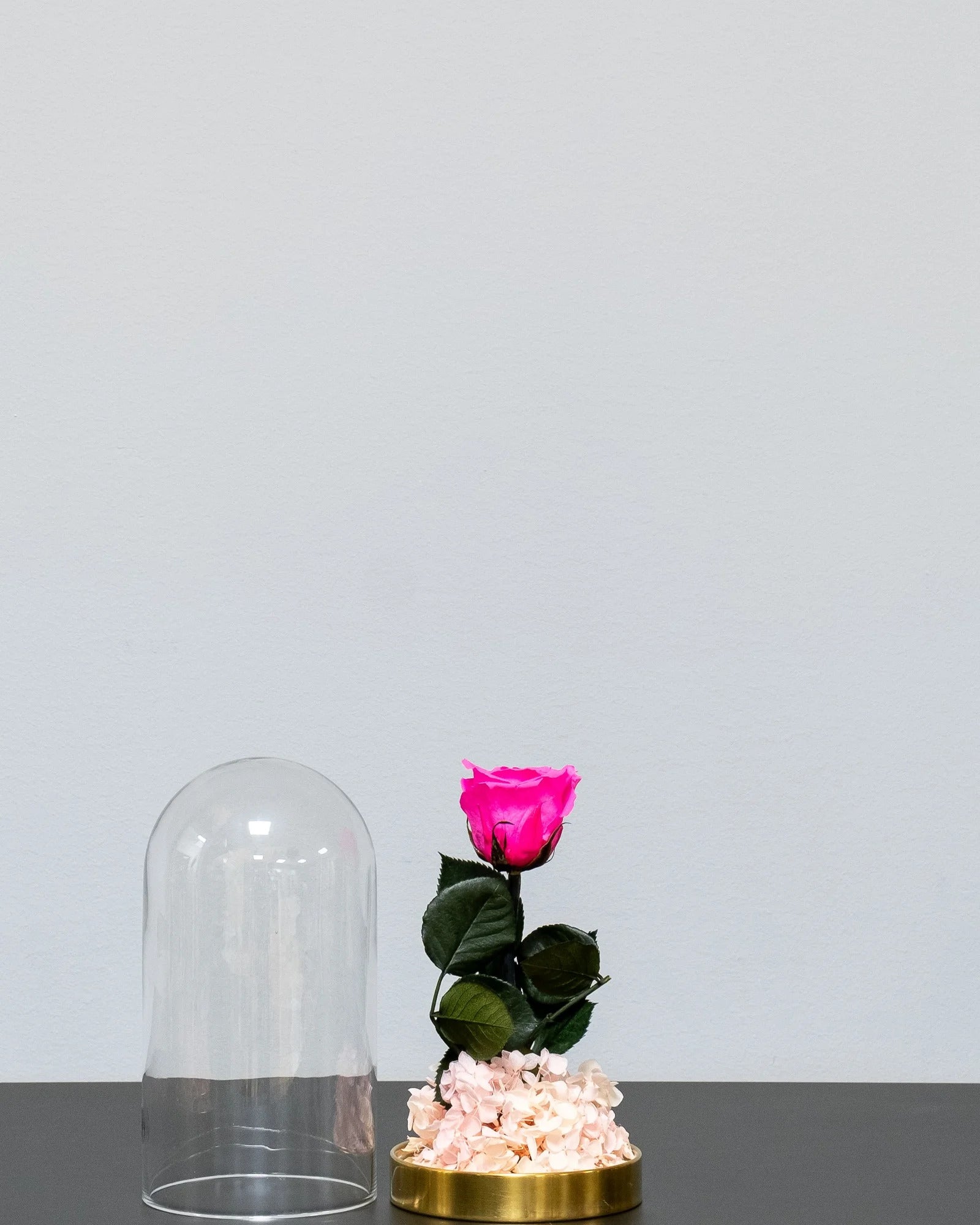 Rosbox med evighetsrosor i Roskupa med Evighetsrosor och Hortensia