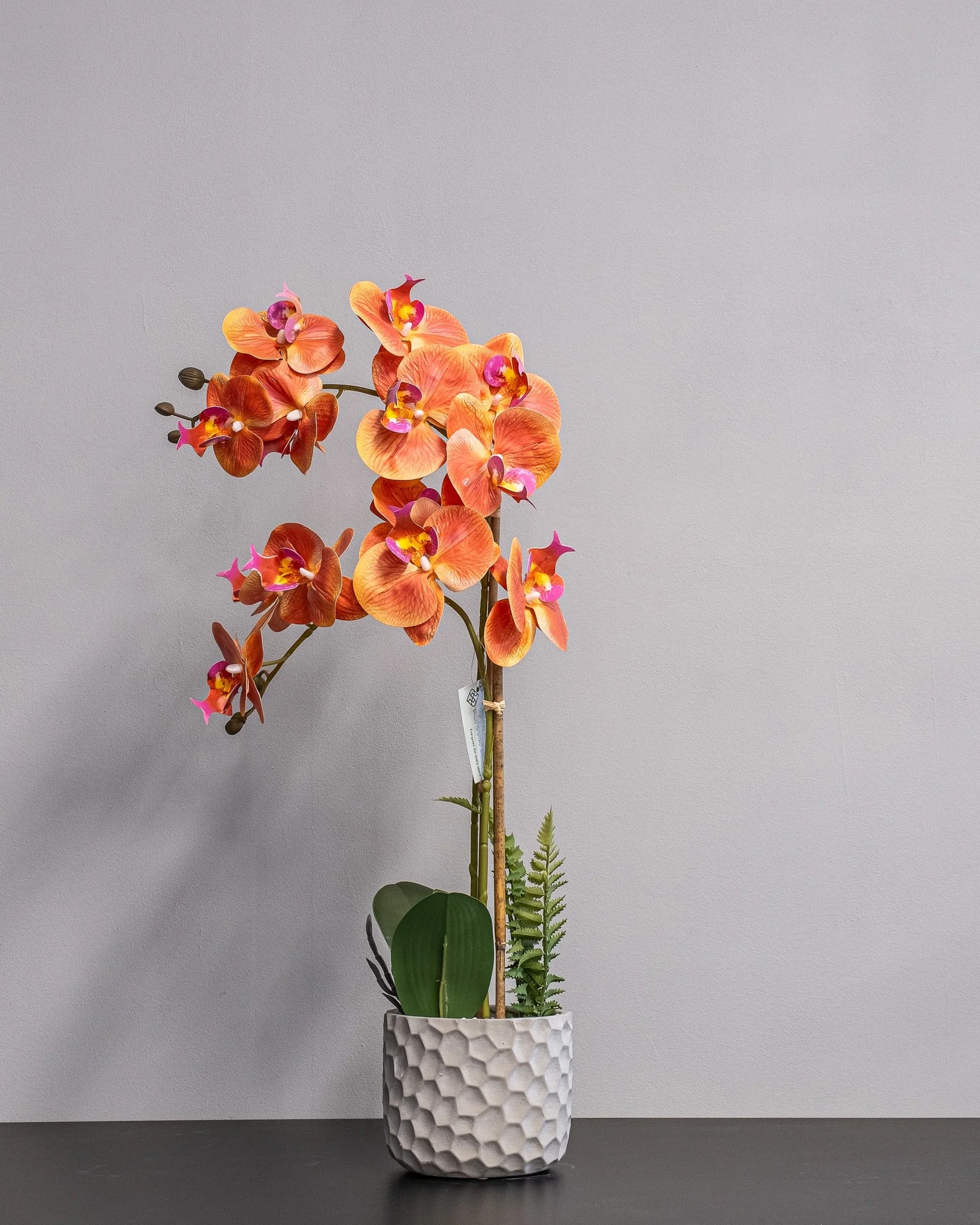 Konstgjord orkidé i cementkruka – orange – 25 × 53 cm – konstgjord blomma från Forever Flora