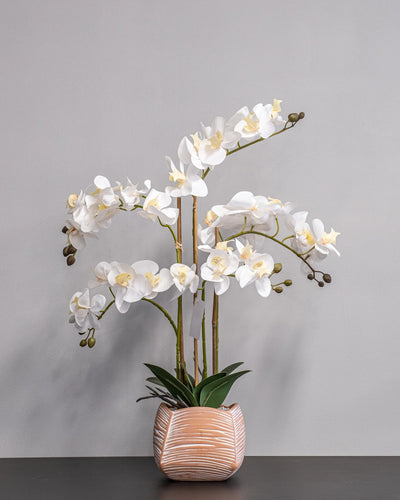 Konstgjord orkidé med vita blommor – 40 × 60 cm – konstgjord blomma från Forever Flora