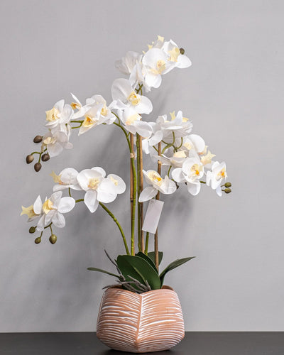 Konstgjord orkidé med vita blommor – 40 × 60 cm som dekorativ produkt för hem och inredning