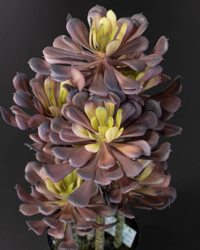 Närbild på detaljerna i Konstgjord lotus krukväxt i lila melaminkruka – 7 stammar – 53 cm