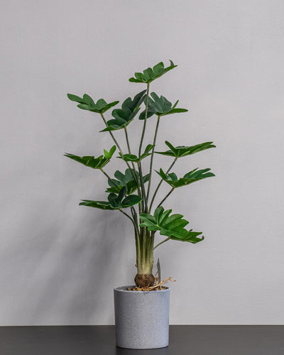 Konstgjord Philodendron krukväxt – 60 cm som dekorativ produkt för hem och inredning