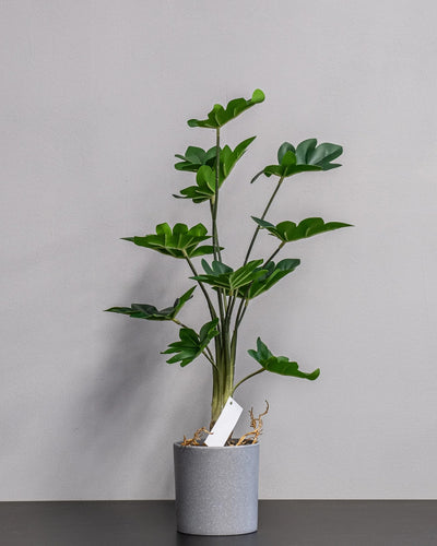 Närbild på detaljerna i Konstgjord Philodendron krukväxt – 60 cm