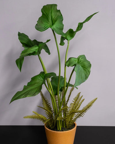 Alocasia cucullata som konstgjord växtdetalj för inomhusmiljö