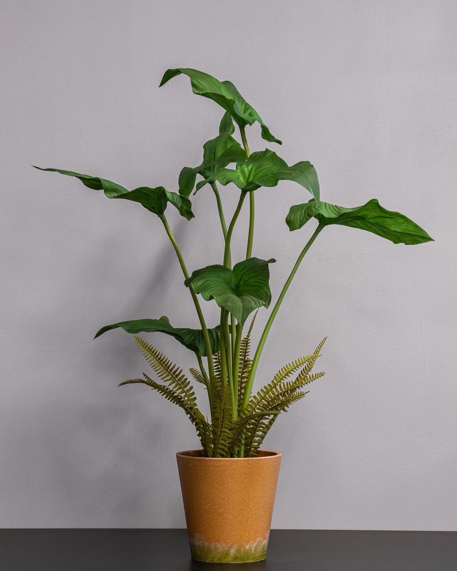 Konstgjord Alocasia cucullata krukväxt – 75 cm som dekorativ produkt för hem och inredning