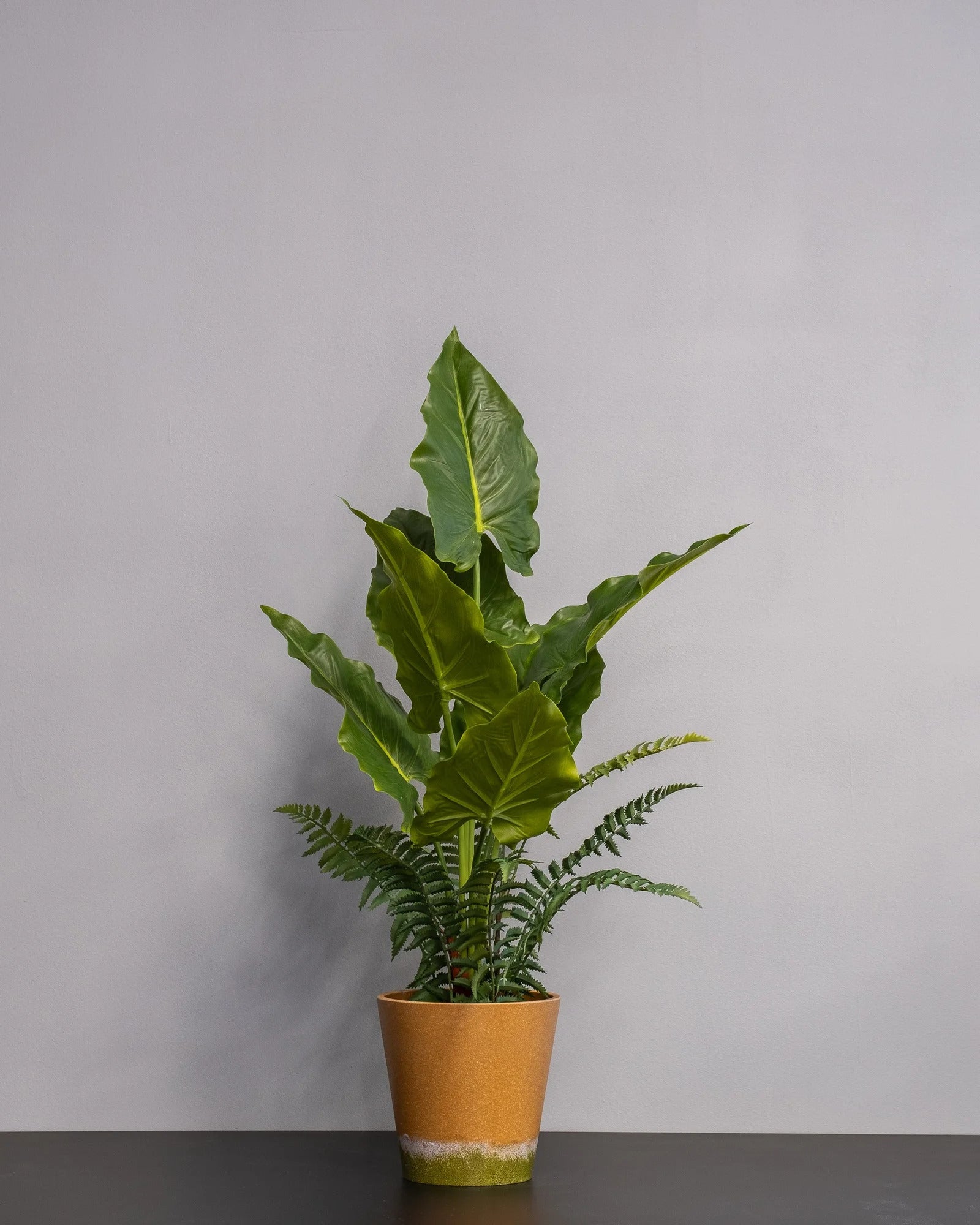 Närbild på detaljerna i Konstgjord Alocasia krukväxt – 75 cm