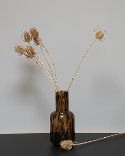 Cardoon Thistle för dekorativ styling i inomhusmiljö