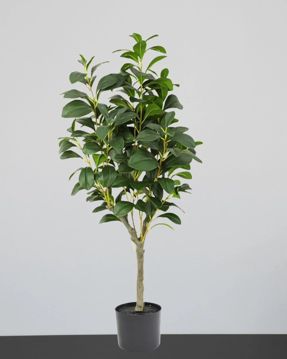Konstgjort Ficus träd med plastkruka som dekorativ produkt för hem och inredning