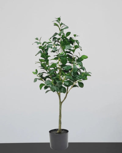Konstgjort Ficus träd med plastkruka – konstgjort träd från Forever Flora