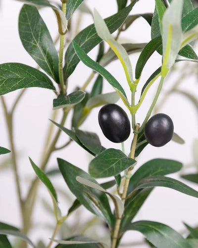 Olivträd från Forever Flora med naturtroget uttryck