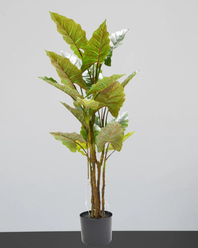 Konstgjort Colocasia träd med plastkruka – konstgjort träd från Forever Flora