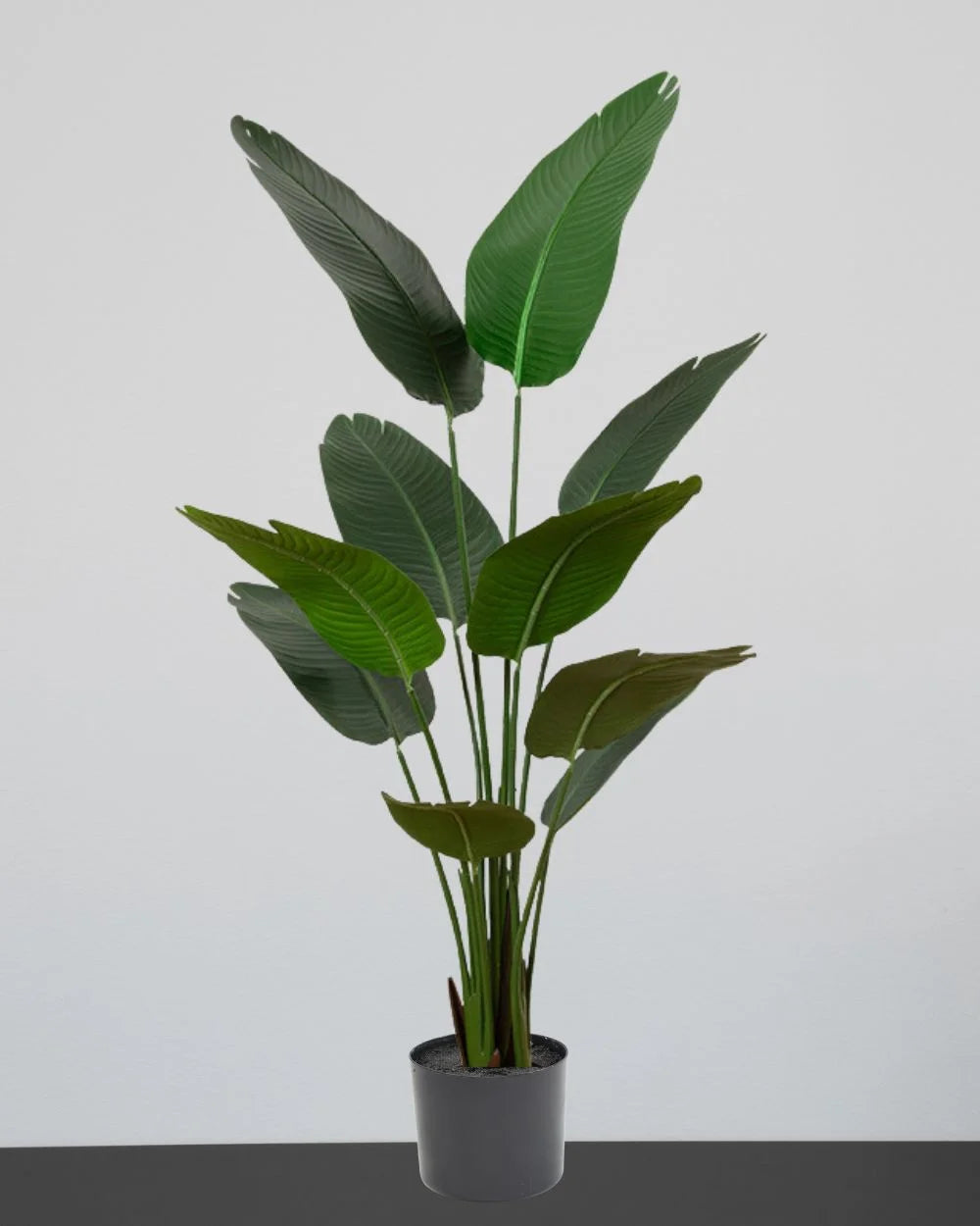 Konstgjord Strelitzia (paradisfågelväxt) i plastkruka – konstgjort träd från Forever Flora
