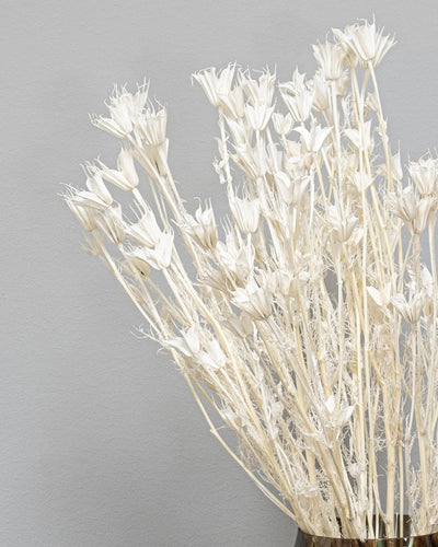 Detaljbild av Nigella Orientalis – 1607 nigella 12