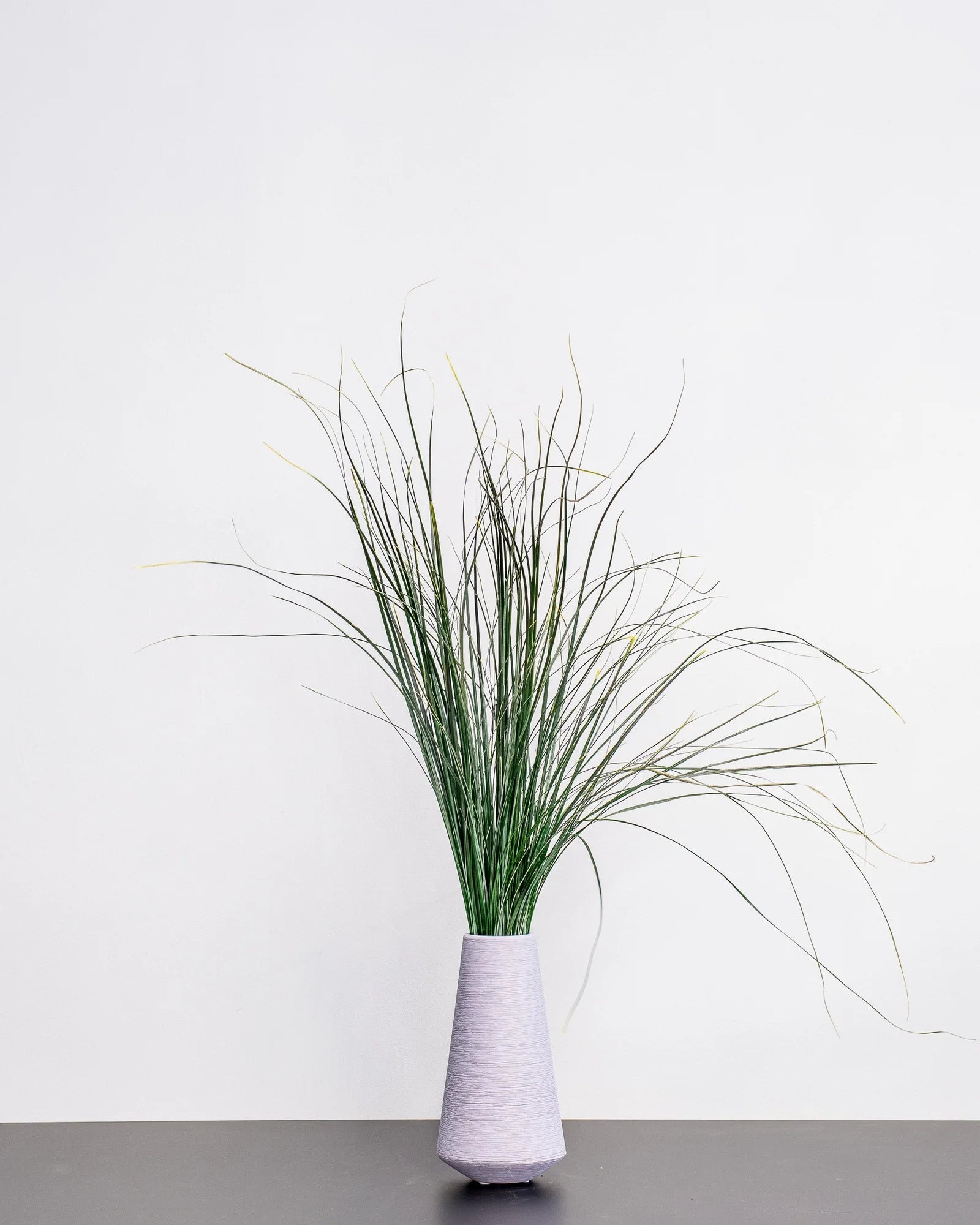 Björnlilja (Bear Grass) – konserverad växt från Forever Flora