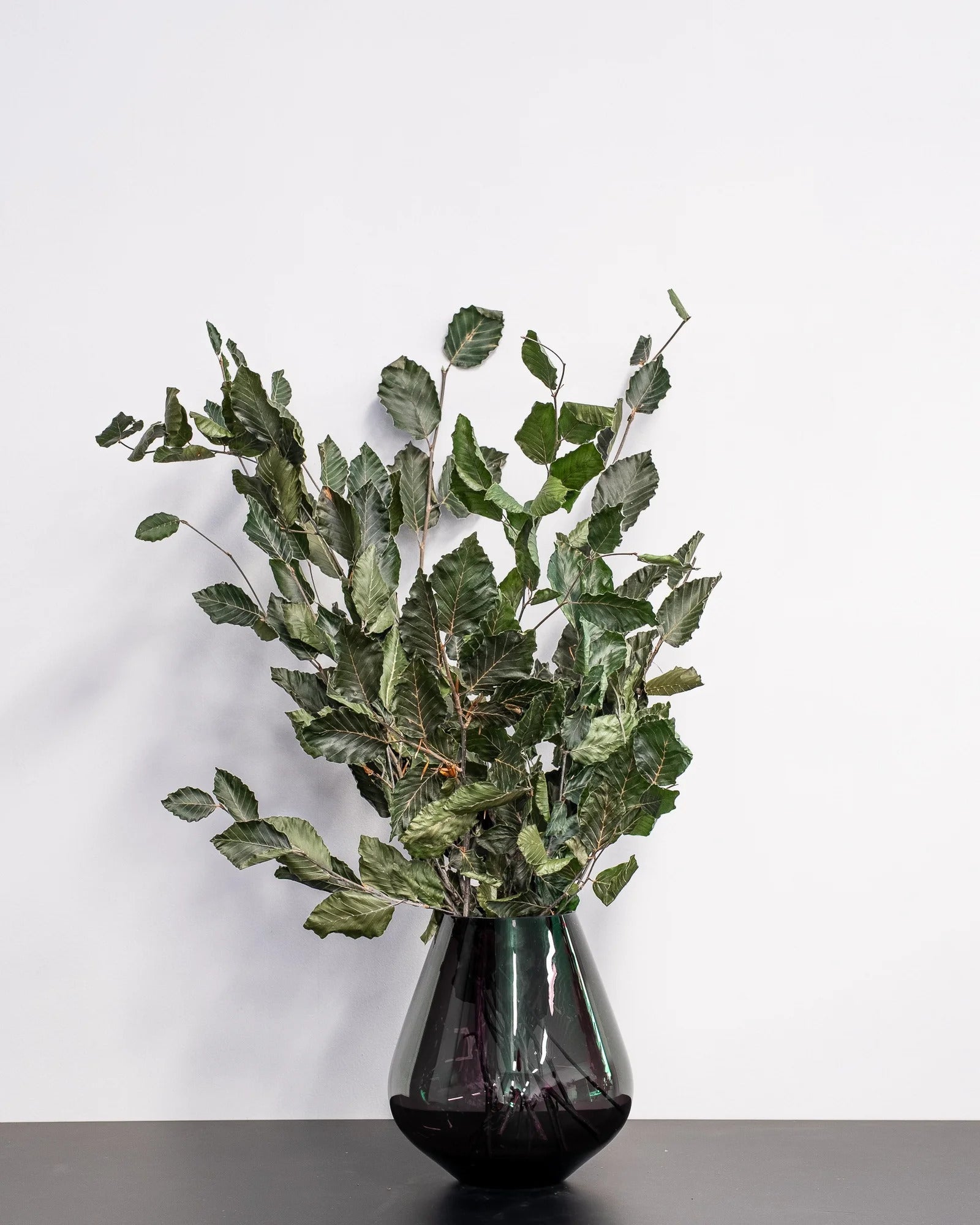 Björkblad – konserverad växt från Forever Flora