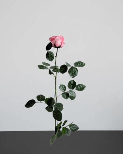 Konserverade rosor för bukett i Singel Evighetsros 60 cm