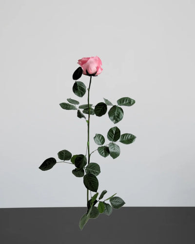 Rosdetaljer i Singel Evighetsros 60 cm