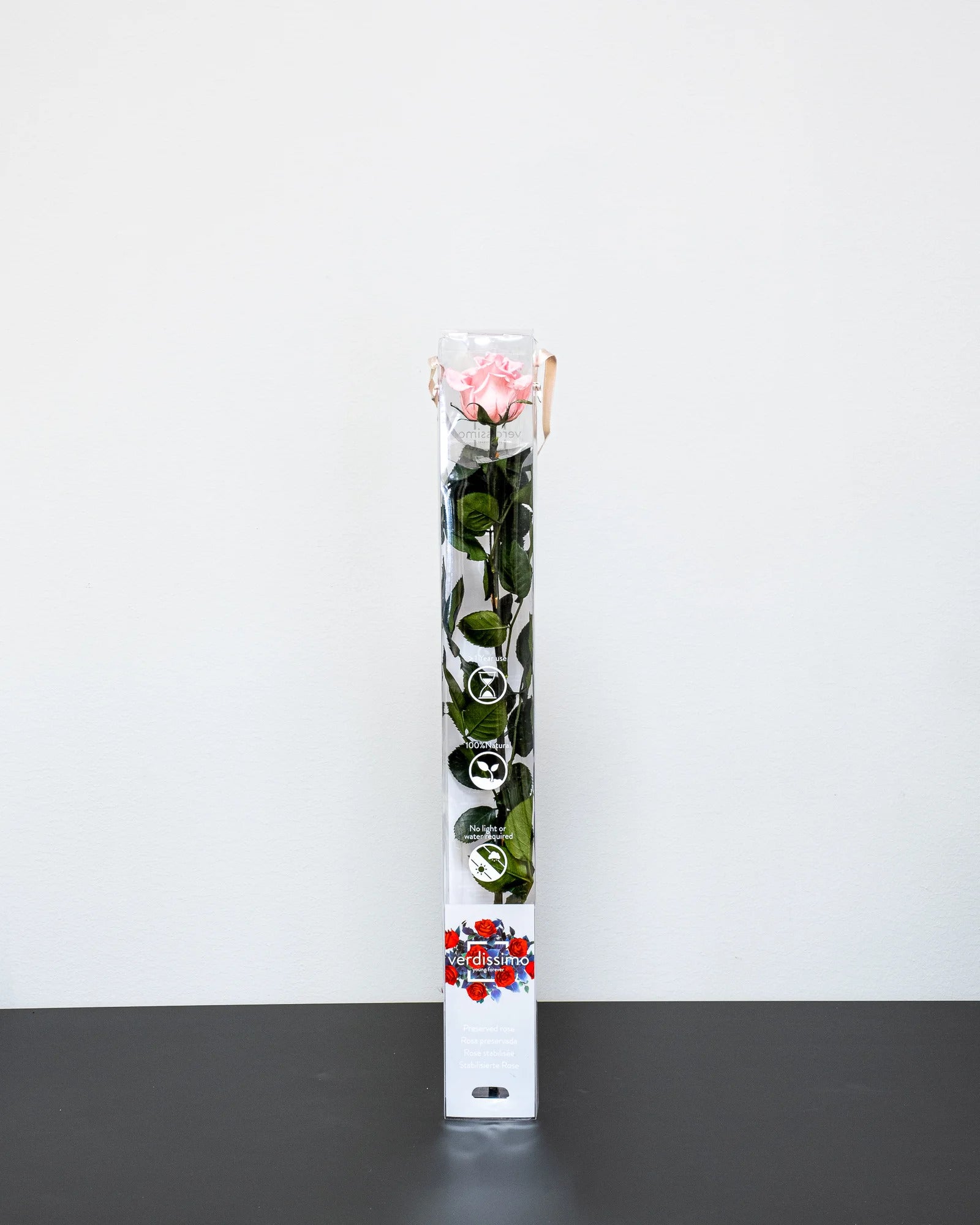 Detaljer på kronbladen i Singel Evighetsros 60 cm