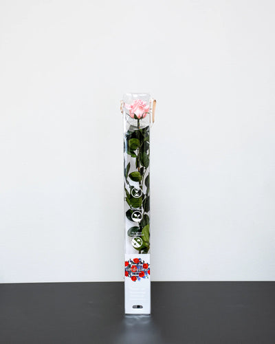 Detaljer på kronbladen i Singel Evighetsros 60 cm