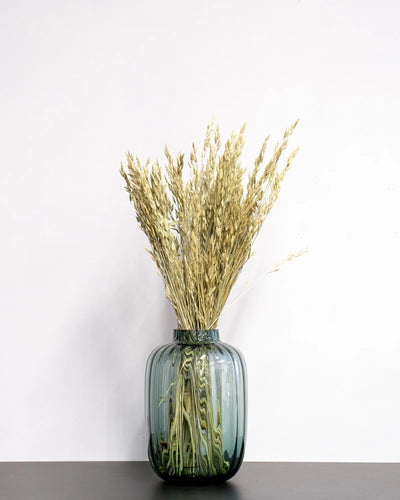 Närbild på torkade blommor i Råglosta (Bromus secalinus) – Torkad, Naturfärgad, 60 cm