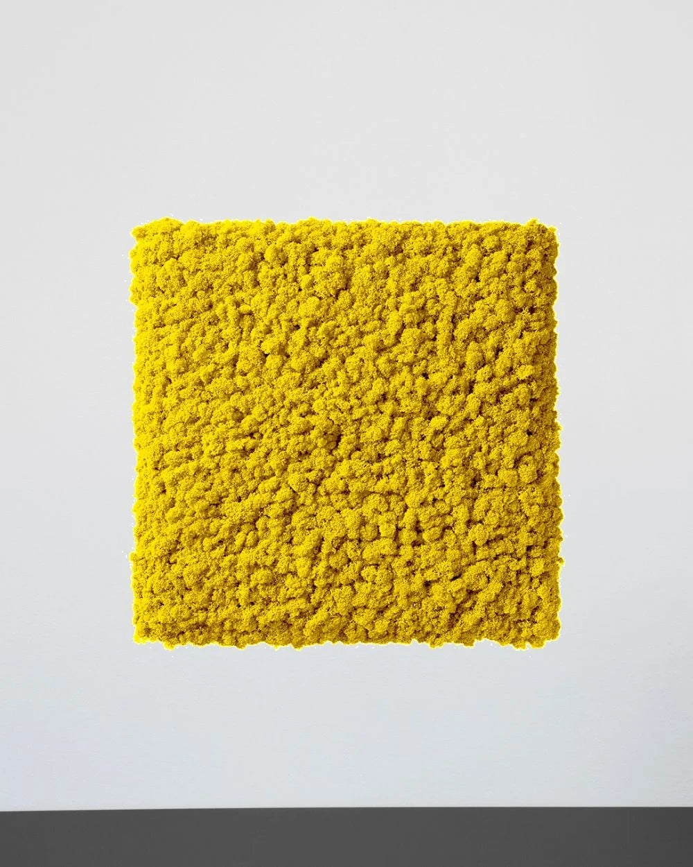 Mosspanel kvadrat i äkta renlav för grön väggdesign – Svart, 30 × 30 cm