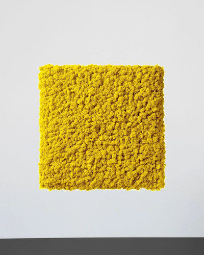 Mosspanel kvadrat i äkta renlav för grön väggdesign – Svart, 30 × 30 cm