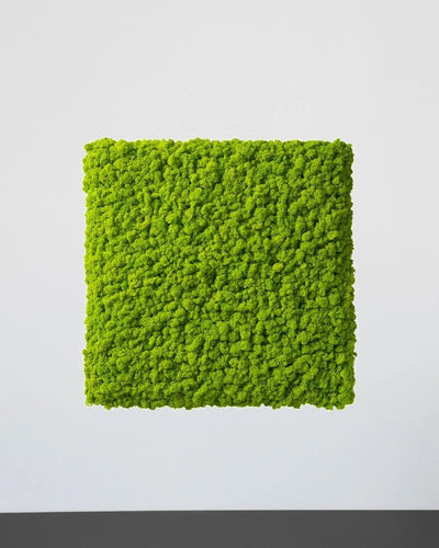 Kvadratisk renlavspanel från Forever Flora – Grön, 30 × 30 cm