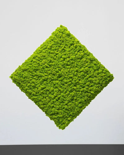 Färgvariant Gul av Mosspanel kvadrat i äkta renlav – 30×30 cm