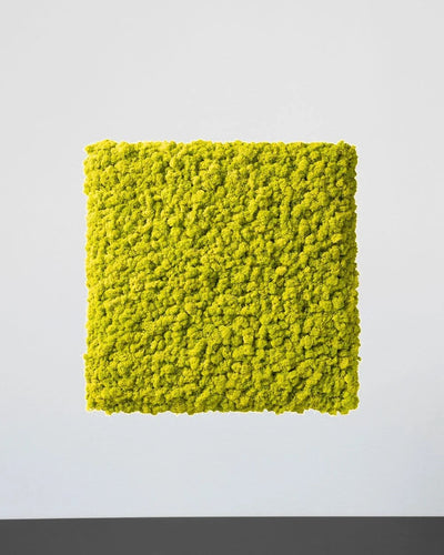 Mosspanel kvadrat i äkta renlav för modulär väggdekor – Lila, 30 × 30 cm