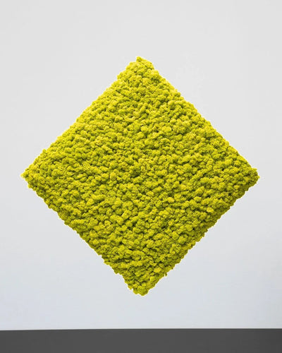 Yta och struktur i kvadratisk mosspanel – Ljusgrön, 30 × 30 cm