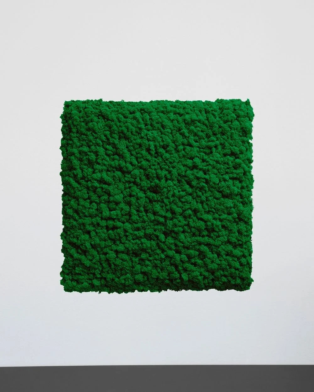 Mosspanel kvadrat i äkta renlav som dekorativ panel i inomhusmiljö – Naturell, 30×30 cm