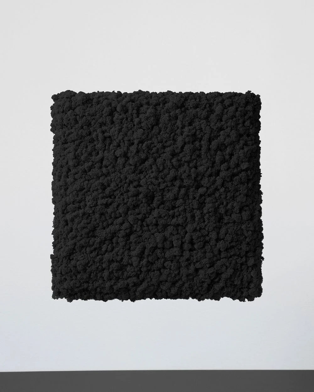 Mosspanel kvadrat i äkta renlav för grön väggdesign – Svart, 50 × 50 cm