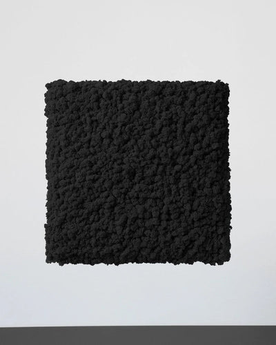 Mosspanel kvadrat i äkta renlav för grön väggdesign – Svart, 50 × 50 cm
