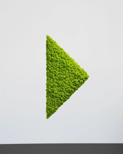 Färgvariant Gul av triangelformad mosspanel – triangel 30 cm