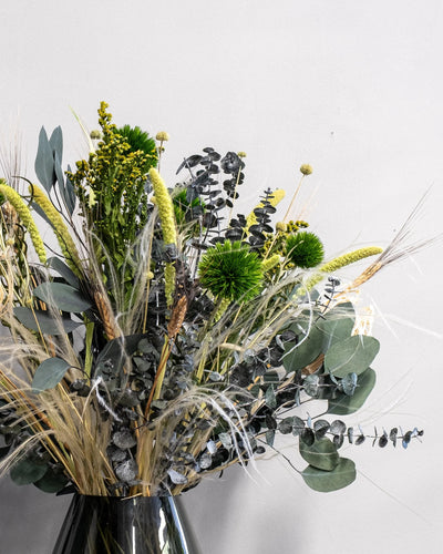 Skogsglänta med torkade blommor