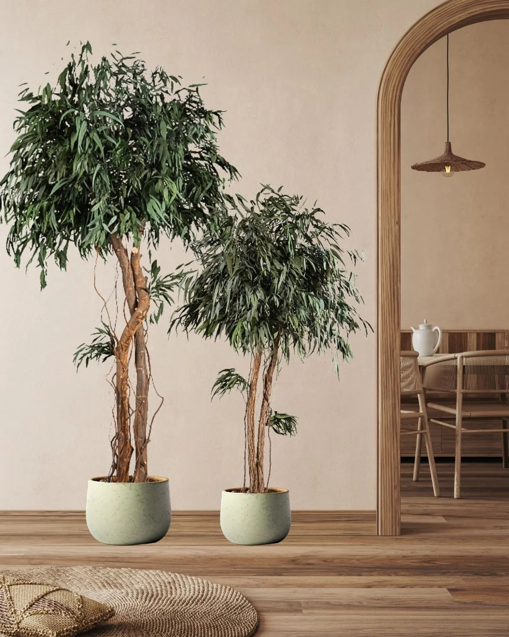 Konserverat pilträd Willow – Krona i produktvy för hem och kontor
