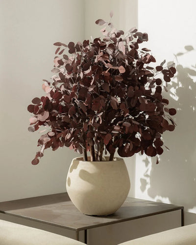 Konserverat Eucalyptus Populus buskträd 80 eller 110 cm