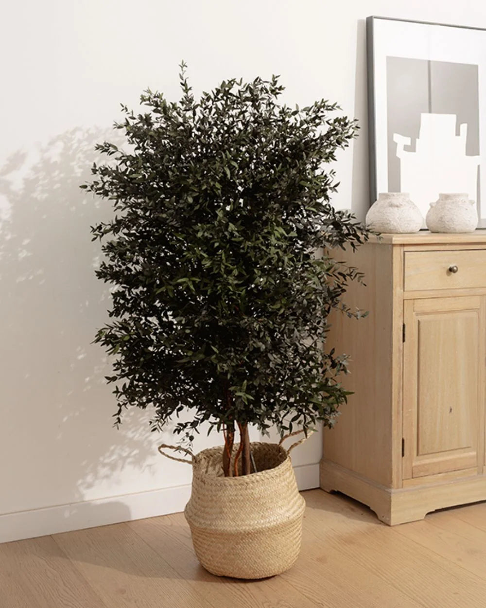 Konserverat eukalyptusträd Parvifolia – Slim – konserverat träd från Forever Flora