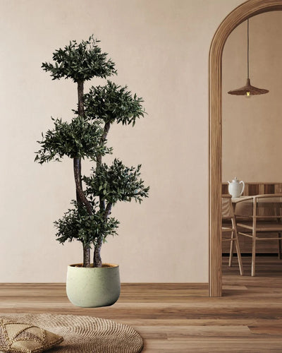 Konserverat eukalyptusträd Parvifolia – Krona i produktvy för hem och kontor