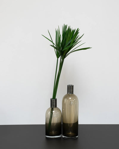 Papyrus för dekorativ styling i inomhusmiljö