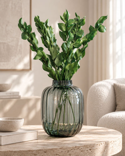 Ruscus Giant Bleached White – Preserved Plant