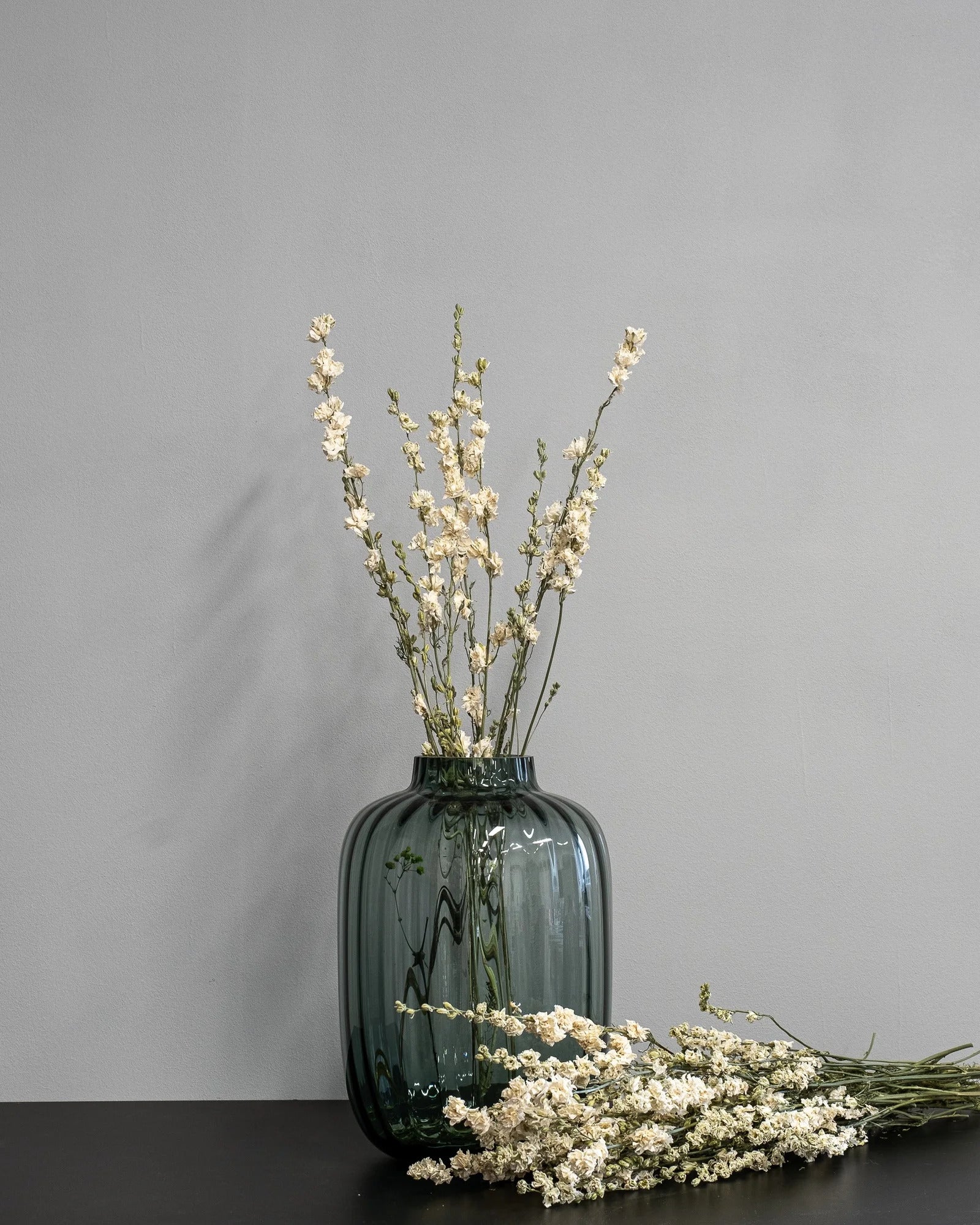 Detaljbild av Torkade Delphinium – Riddarsporre