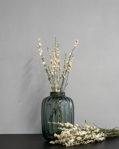Detaljbild av Torkade Delphinium – Riddarsporre