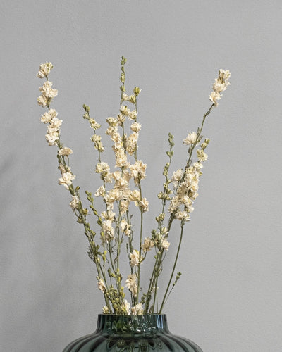 Torkad Delphinium/Riddarsporre 60 cm i Lila