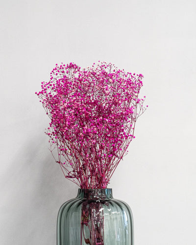 Konserverad blomma med detaljer från Slöjblommor – Gypsophila