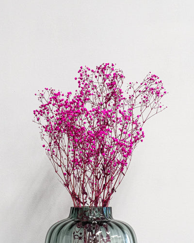 Slöjblommor – Gypsophila som dekorativ produkt från Forever Flora