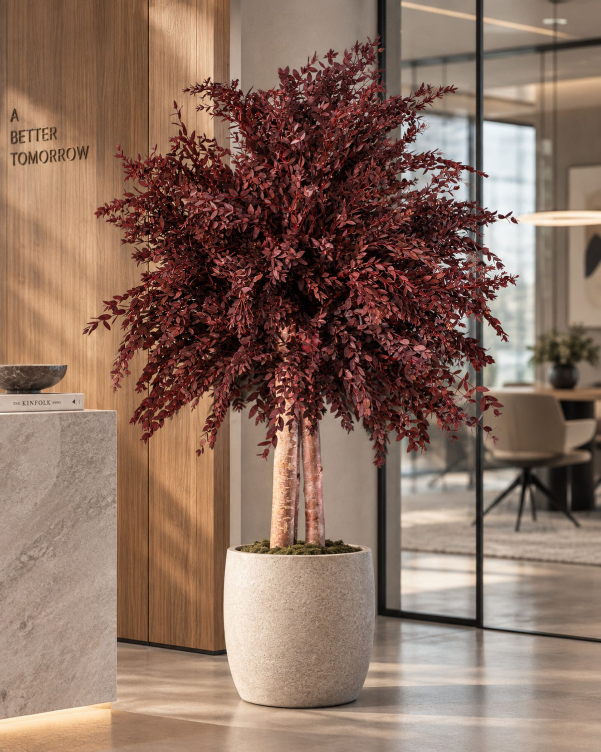 Preserved Eucalyptus Tree Parvifolia – Shrub Tree