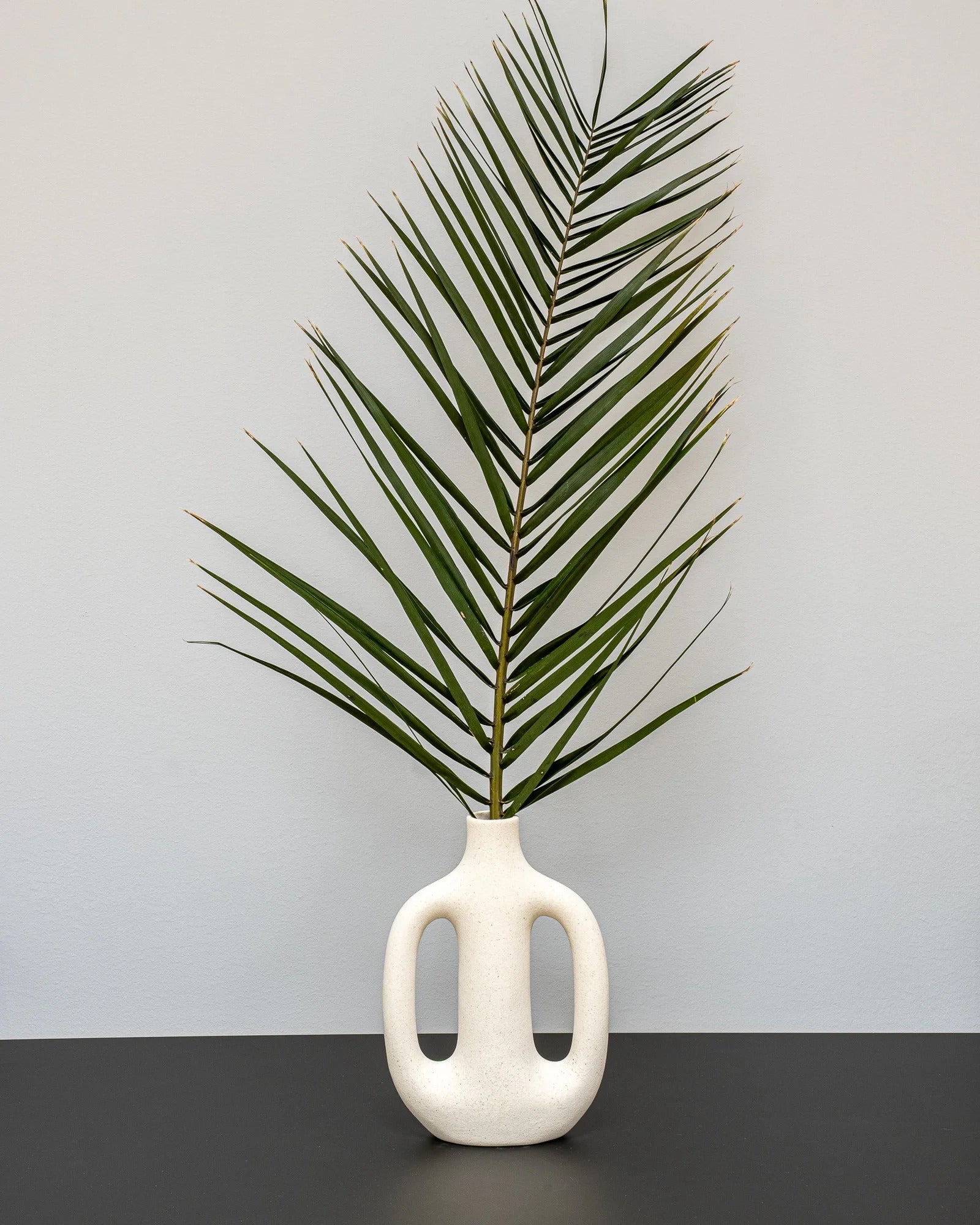 Närbild på detaljerna i Phoenix Palm Grön
