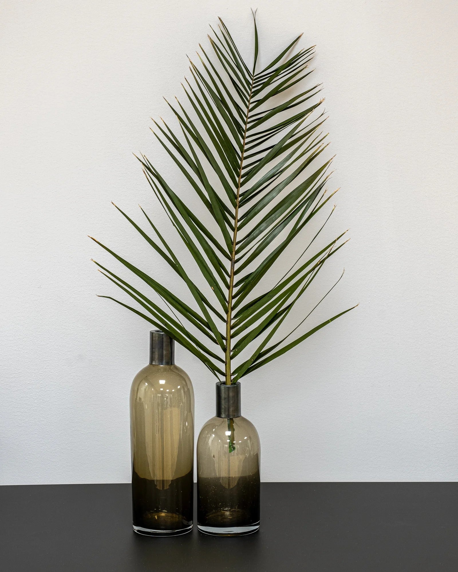 Phoenix Palm Grön – konserverad växt från Forever Flora