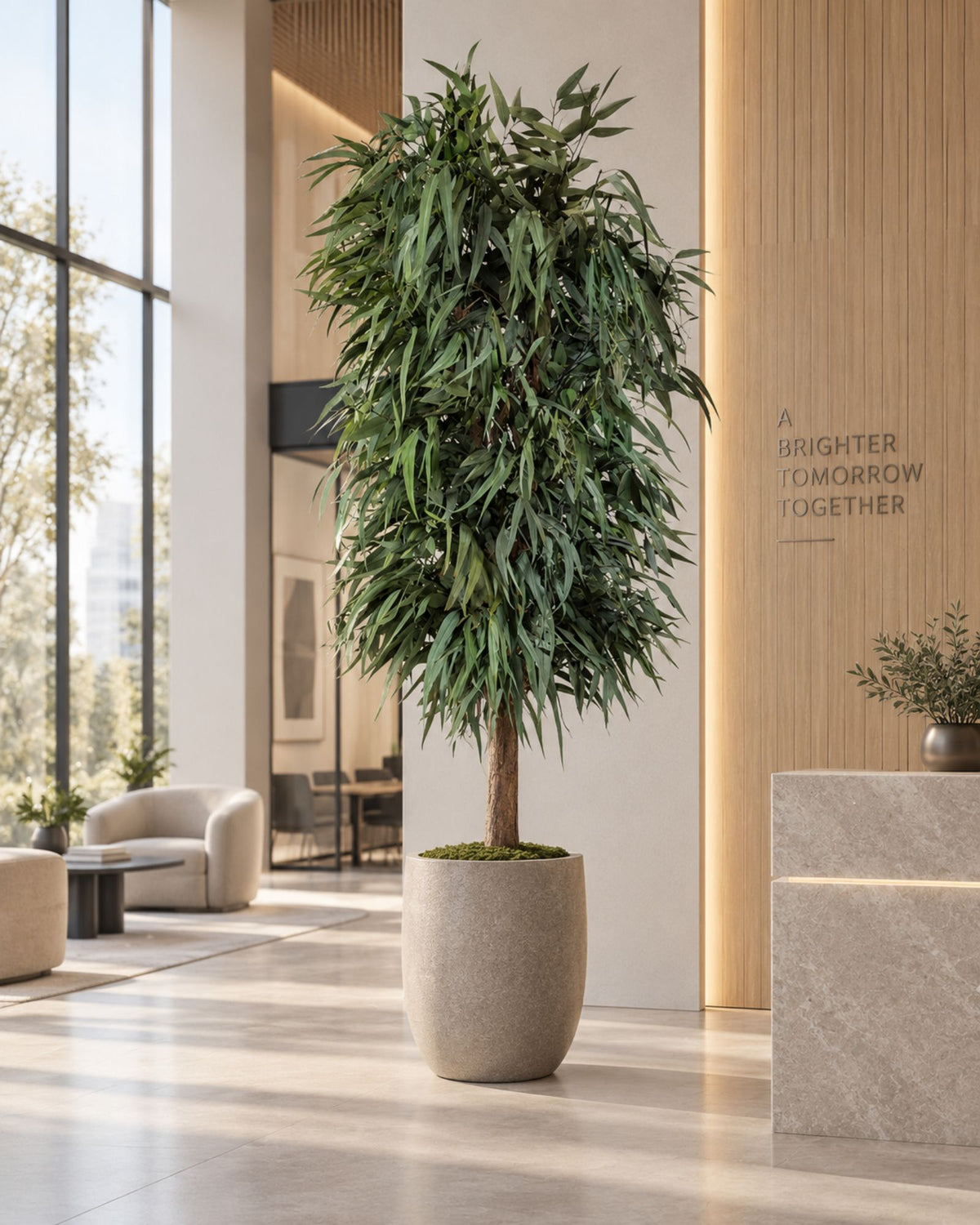 Preserved Willow Tree – Full